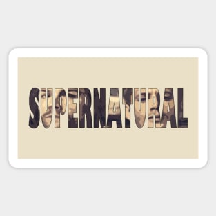 SPN - BROTHERS Sticker